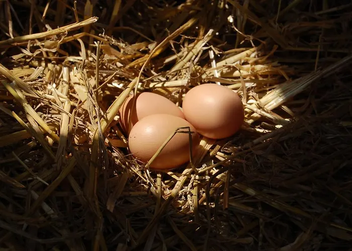 Chez Poussin